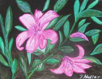 046. Pink Lilly auf schwarz-Acryl-30x30